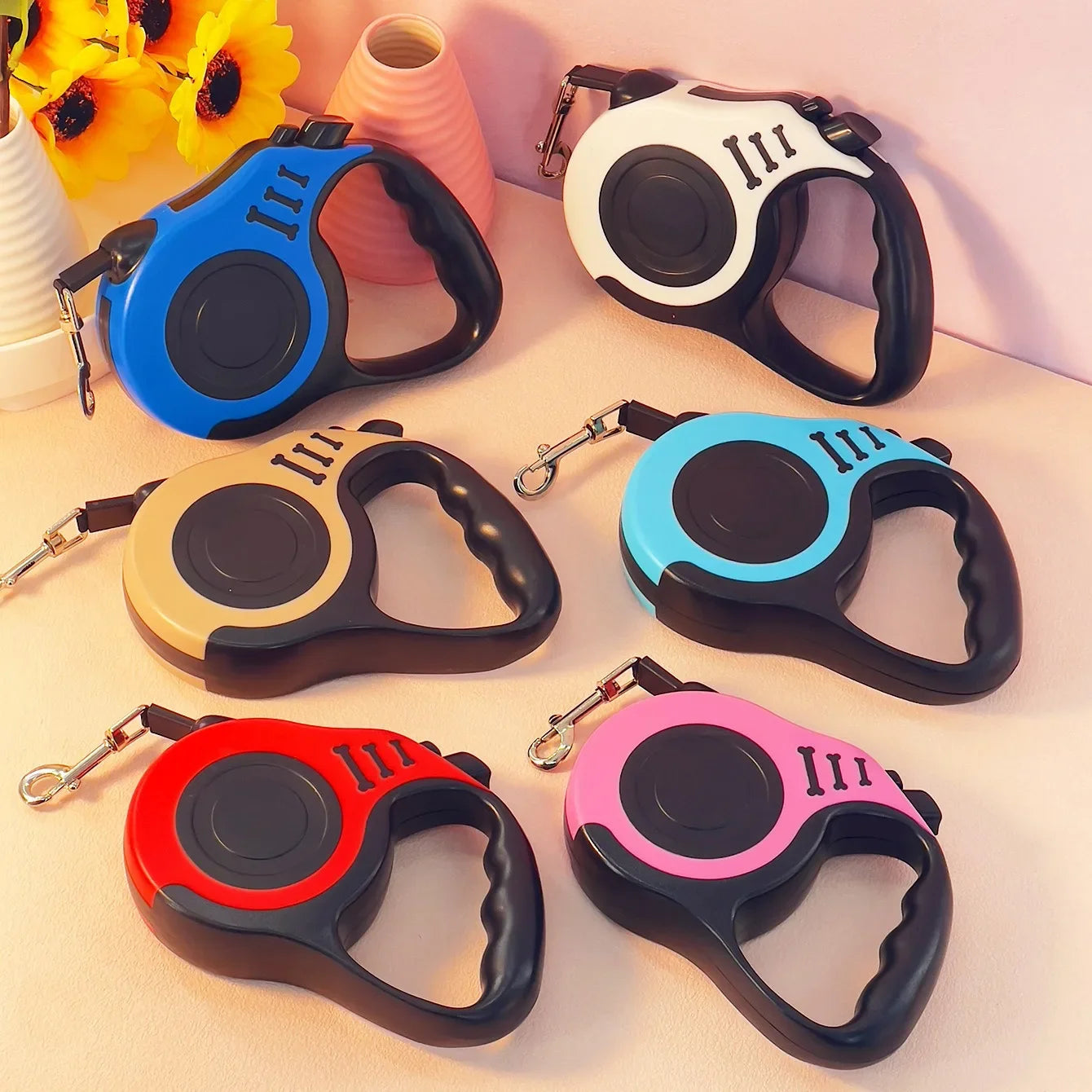 Dog Collar and Leach